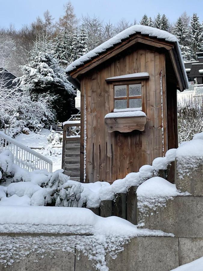 Bergchalet Heidestock Willingen  Exterior photo