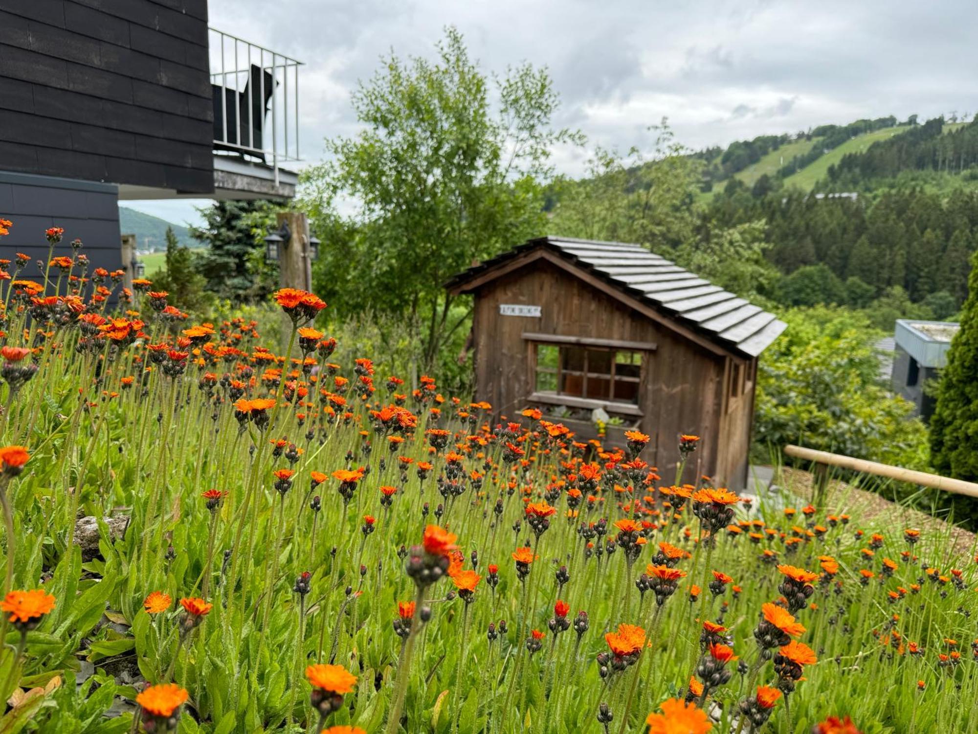 Bergchalet Heidestock Willingen  Exterior photo